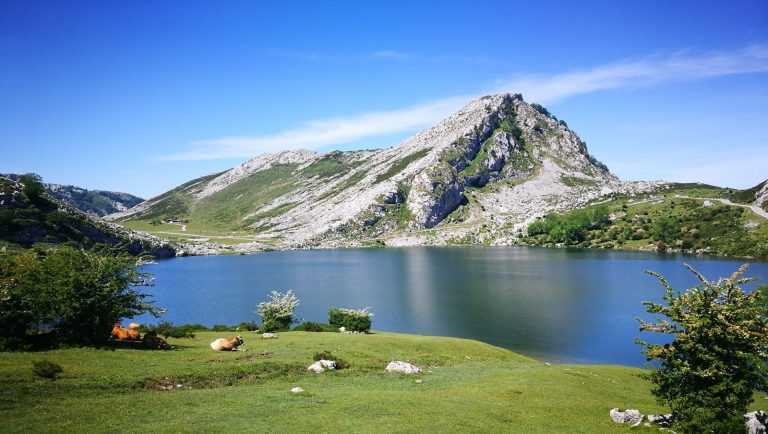 102914685 2996173423765760 4161117250535650063 o 768x434