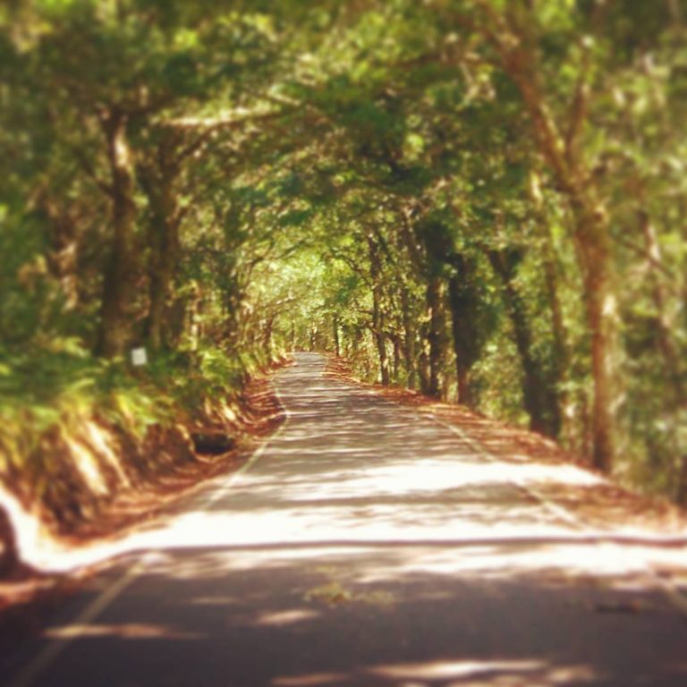 19761986 1391278067594697 1562991431407108096 n 768x768