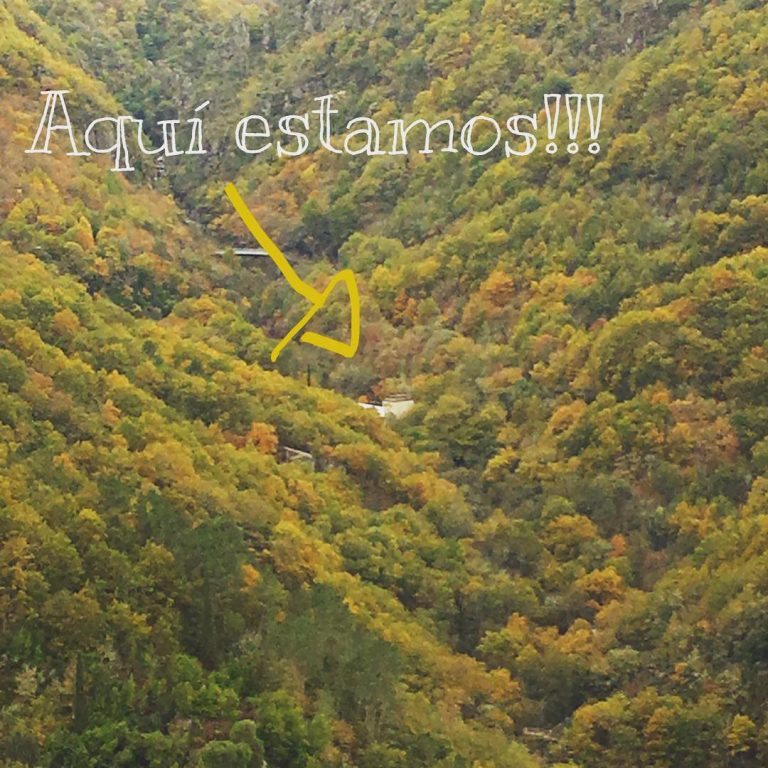 27578685 2143031175919008 1311742072293687296 n 768x768