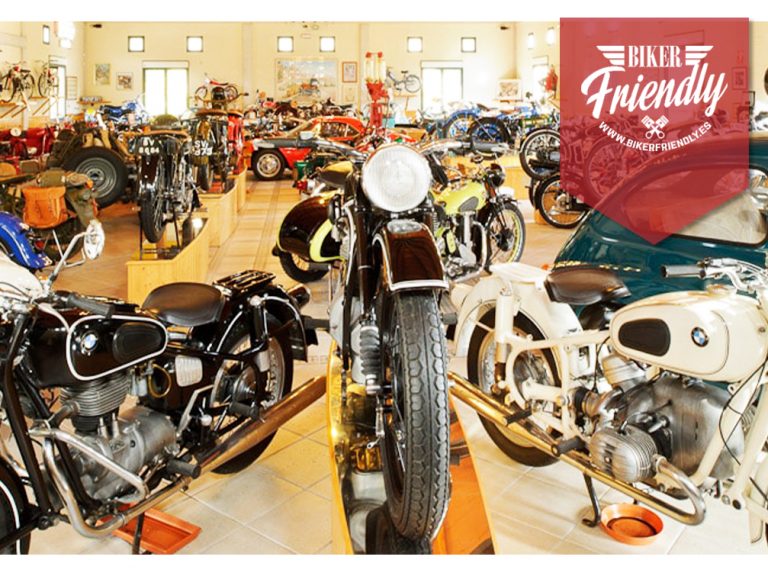 chiken run web 768x576