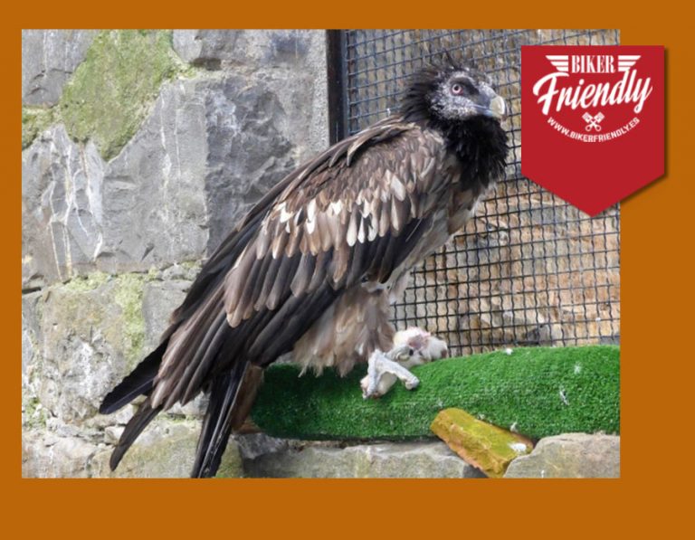 Foto 9 600x450 1 768x597