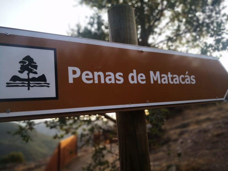 IMG 20200730 211139 768x576