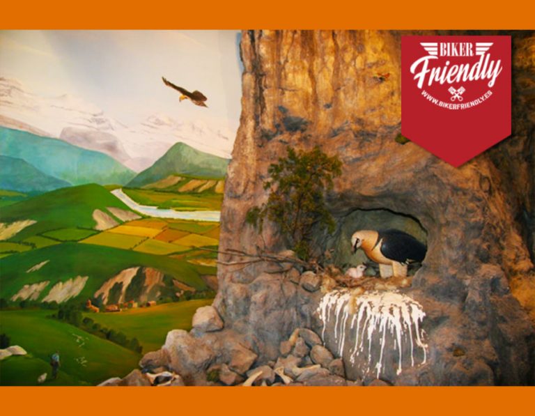 foto ainsa n2 b 600x400 1 768x597