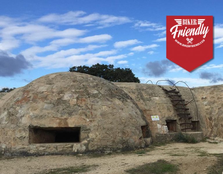 logo imagenes 12 768x597