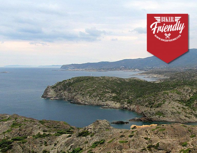 logo imagenes 15 768x597