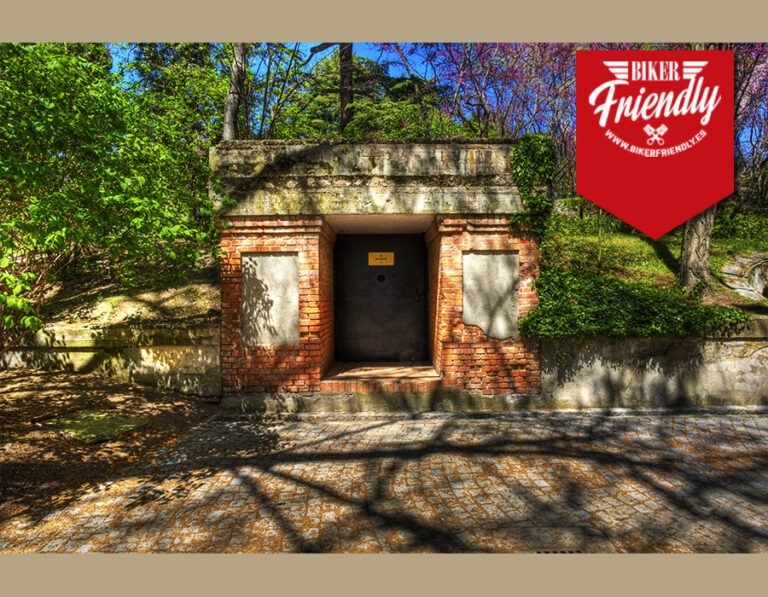 logo imagenes 33 768x597