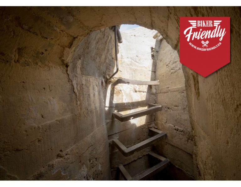 logo imagenes3 7 768x597