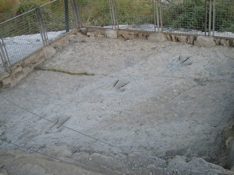 Dinosaur footprints Yacimiento de Valdecevillo Enciso 768x576