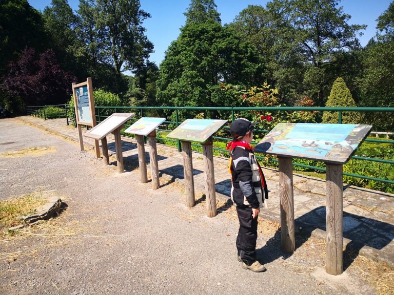 IMG 20200530 164621 768x576