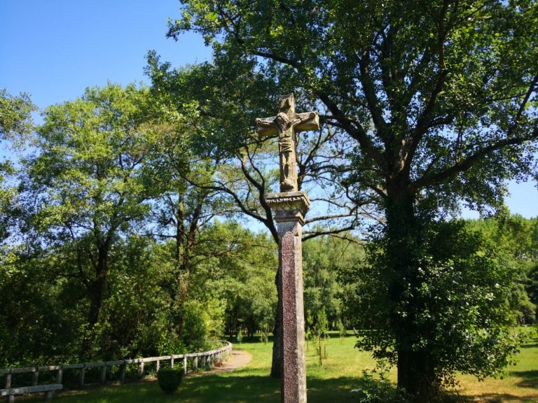 IMG 20200530 164708 768x576