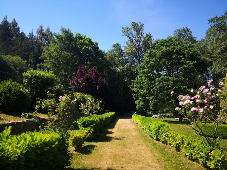 IMG 20200530 164744 768x576