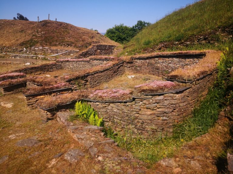 IMG 20200530 174559 768x576