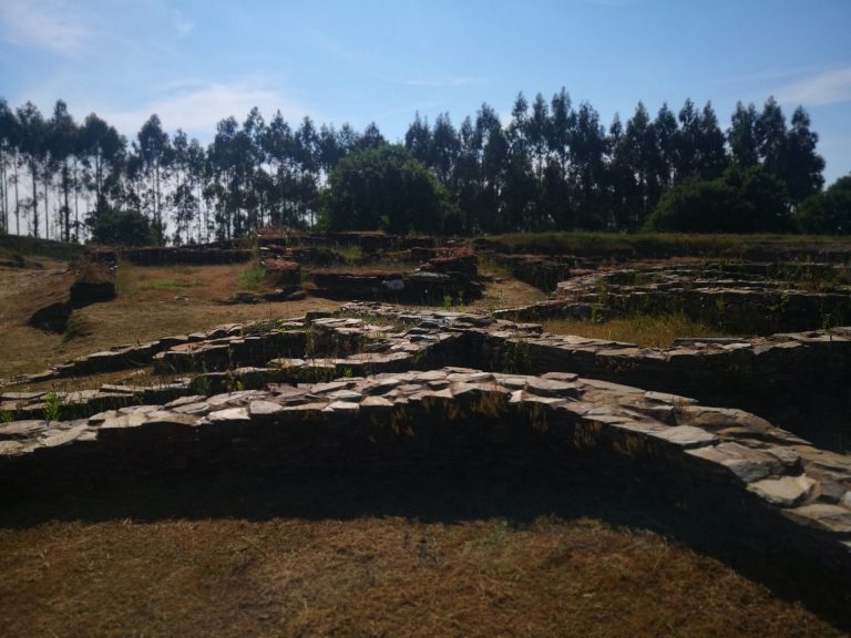 IMG 20200530 174638 1 768x576