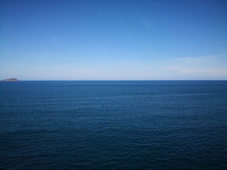 IMG 20200620 132653 768x576