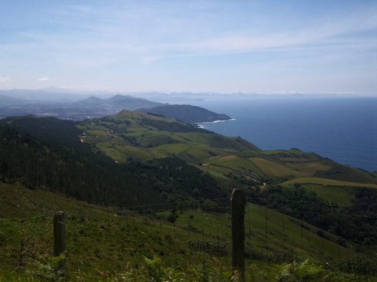 IMG 20200622 160647 768x576