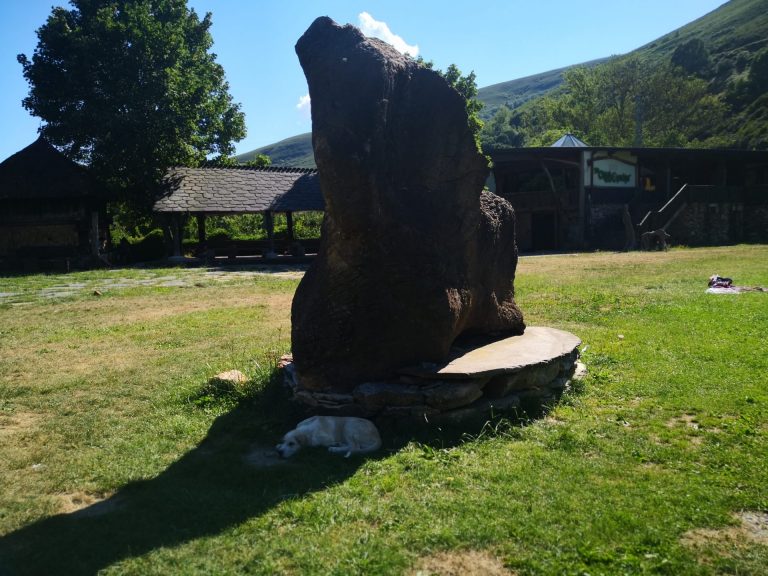 IMG 20200707 175730 768x576