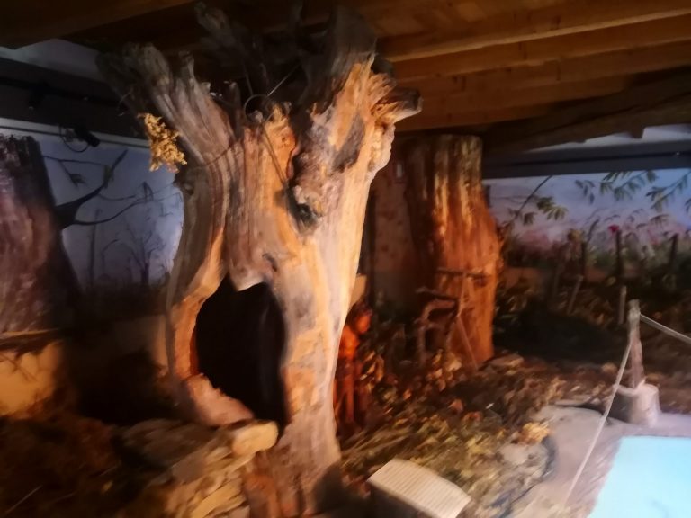 IMG 20200707 180023 768x576