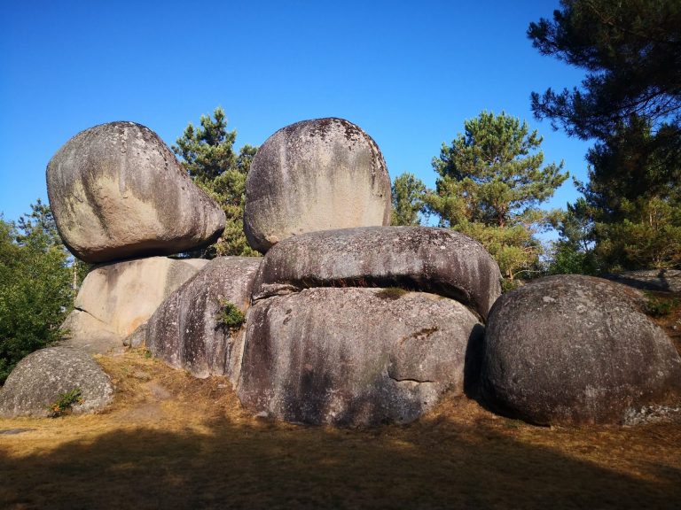 IMG 20200724 093847 768x576