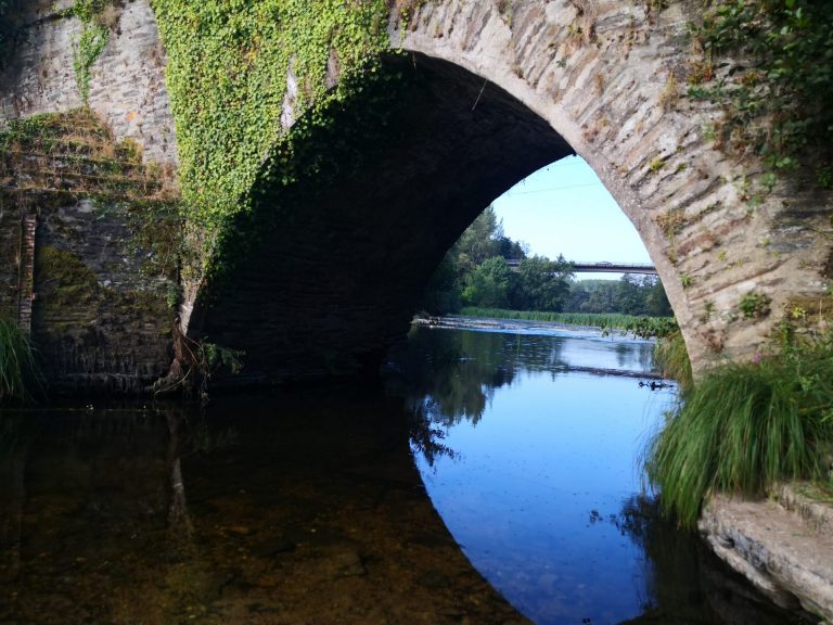 IMG 20200724 095932 768x576