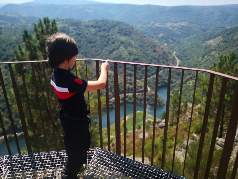 IMG 20200730 132140 768x576