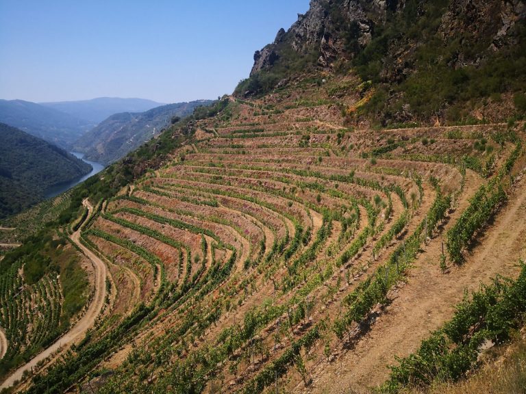 IMG 20200730 141007 768x576