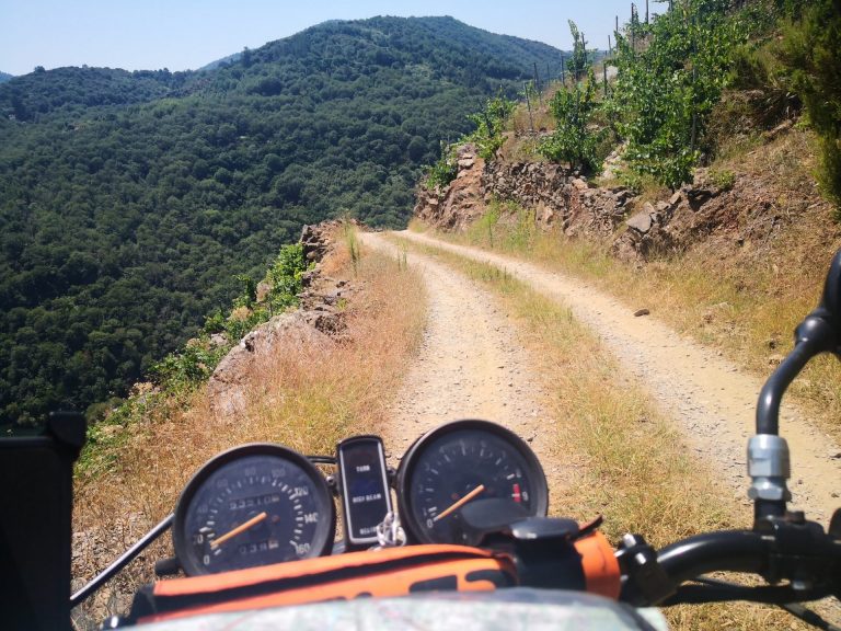 IMG 20200730 141421 768x576