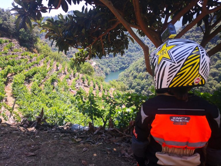 IMG 20200730 141726 768x576