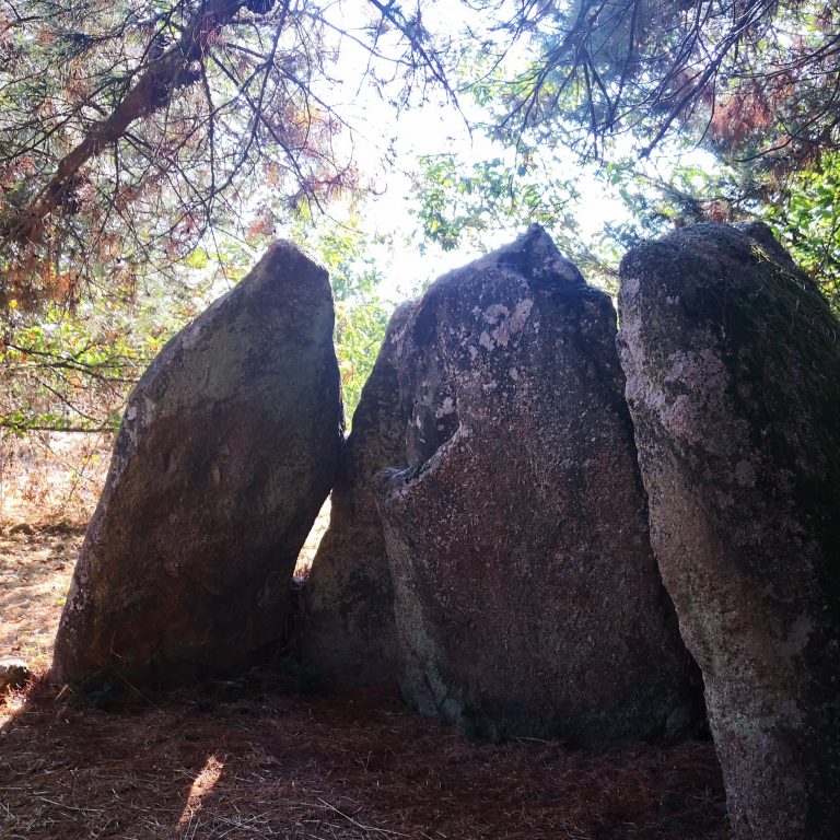 IMG 20200808 184312 768x768