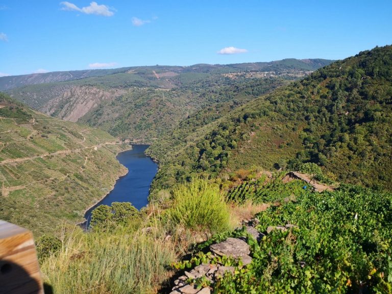 IMG 20200830 184657 768x576