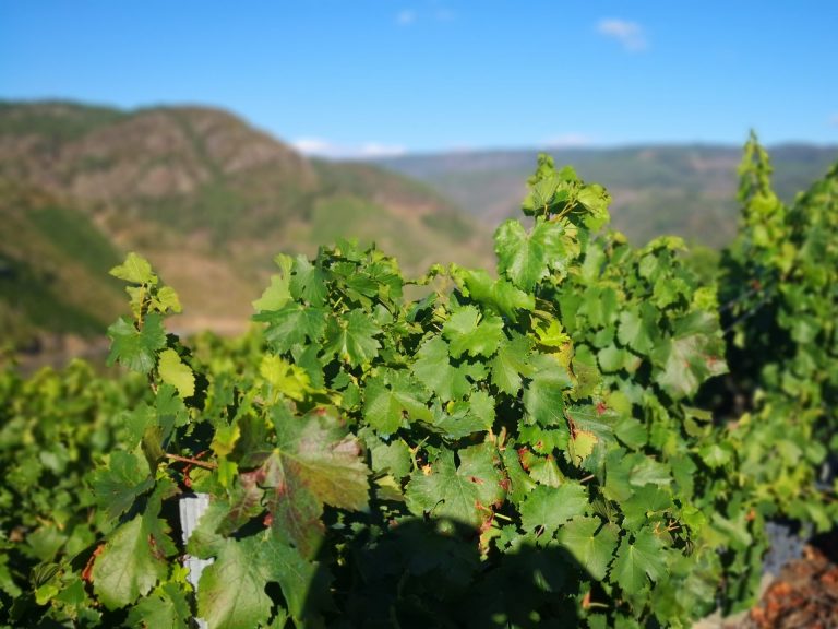 IMG 20200830 184933 768x576