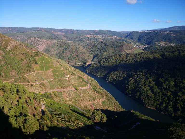 IMG 20200830 190603 768x576