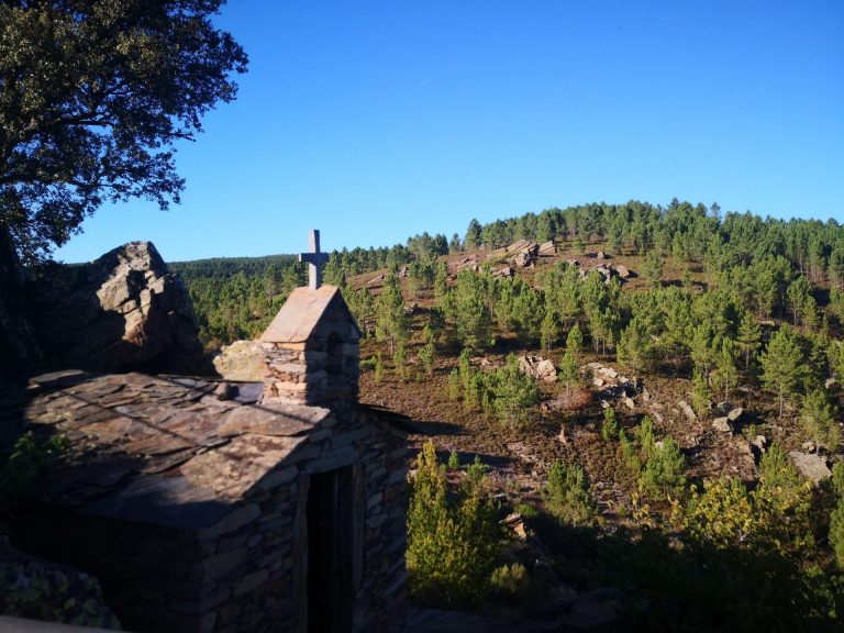 IMG 20200830 190701 768x576