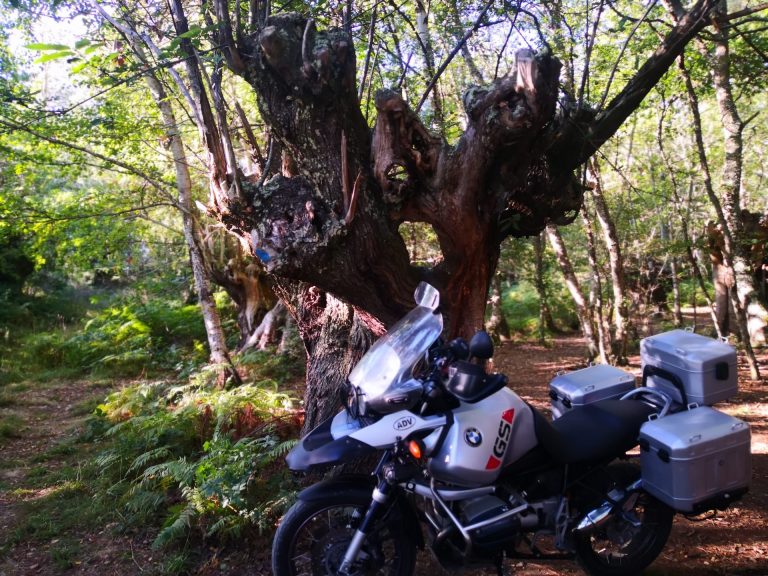 IMG 20200830 192156 768x576