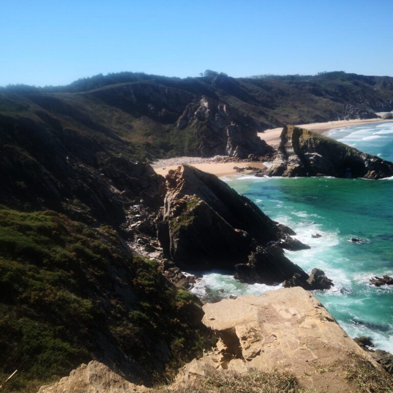 IMG 20200903 133915 768x768