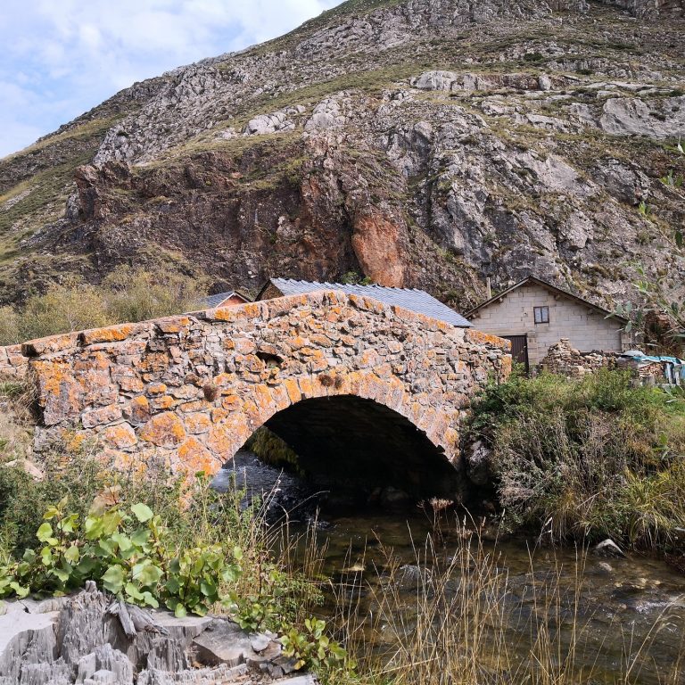 IMG 20201008 134936 768x768