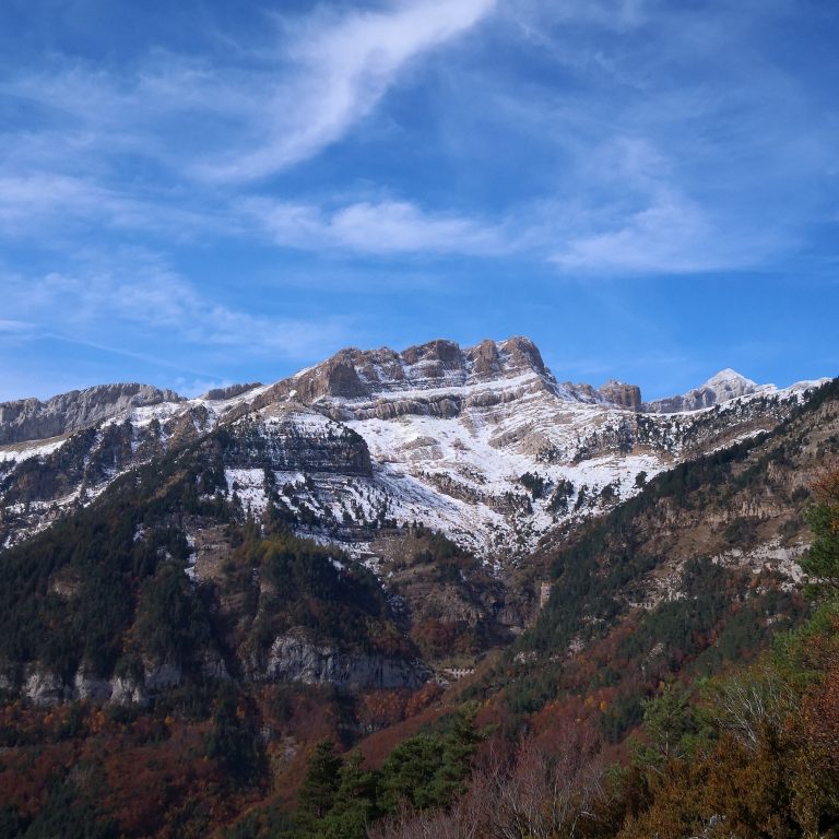 IMG 20201018 115205 768x768