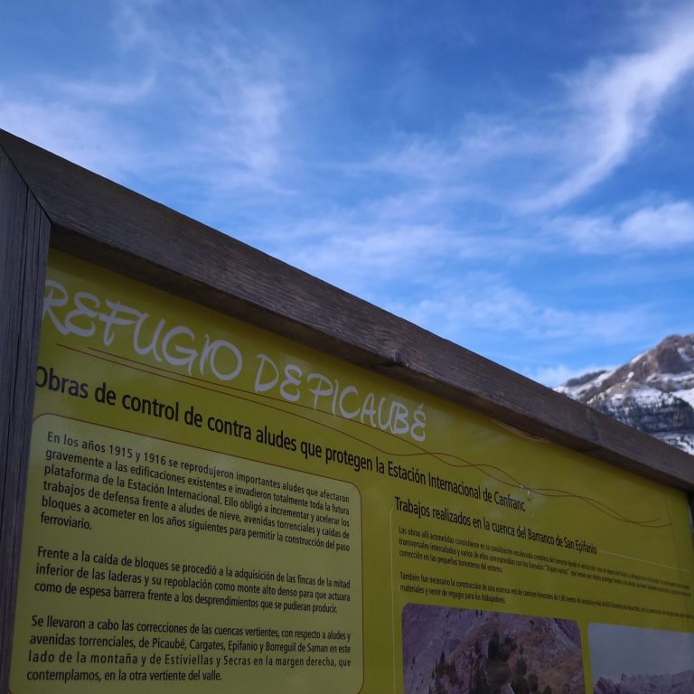 IMG 20201018 115249 768x768