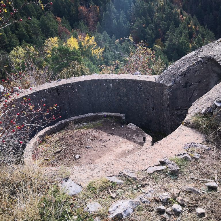 IMG 20201018 115407 768x768