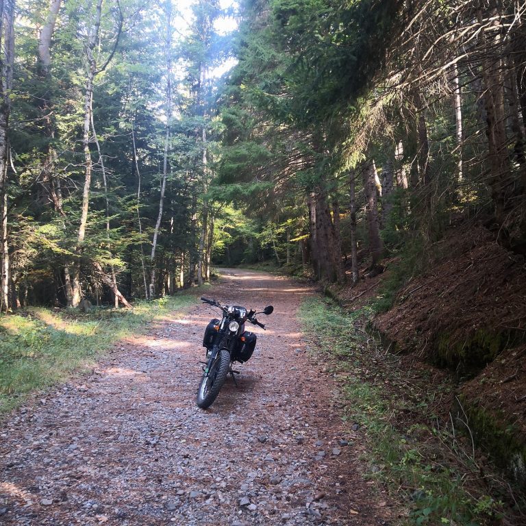 IMG 20201018 121222 768x768