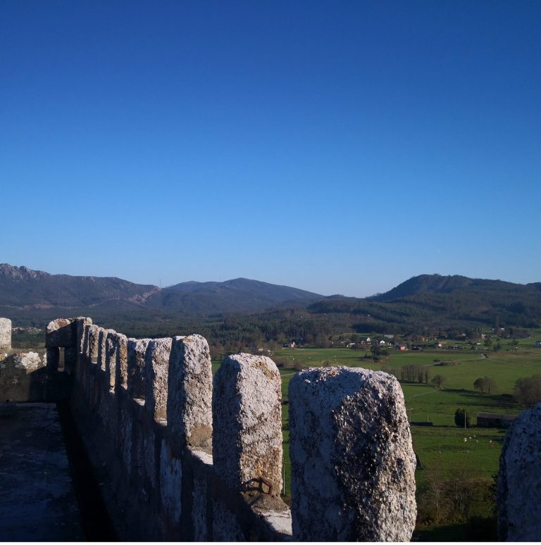 IMG 20201122 153205 768x774