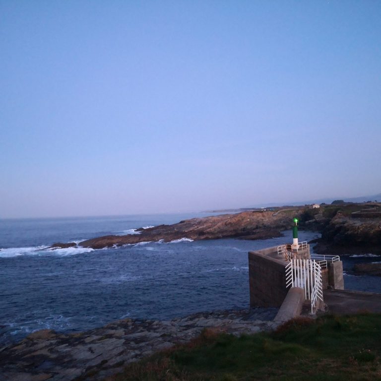 IMG 20201122 181813 768x768