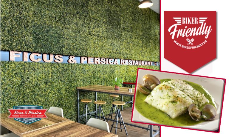 ficus Persica 5 768x459