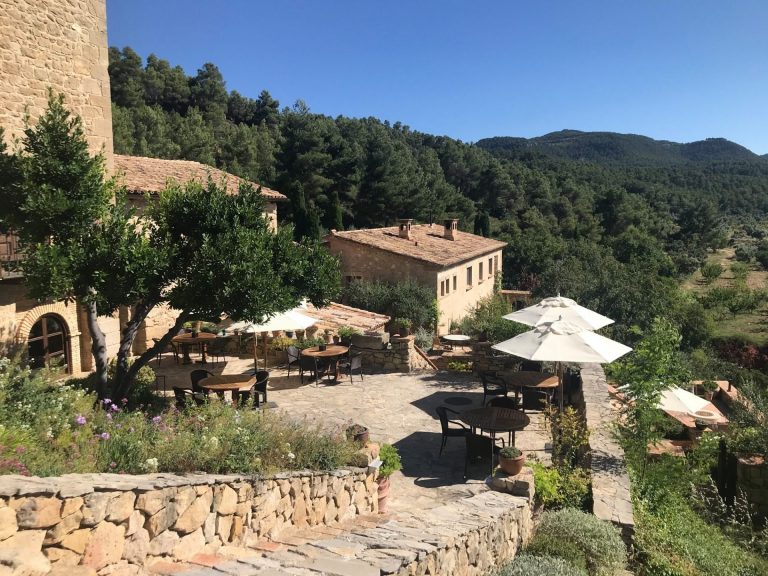 115766766 3099008740135534 942599809949502787 o 768x576