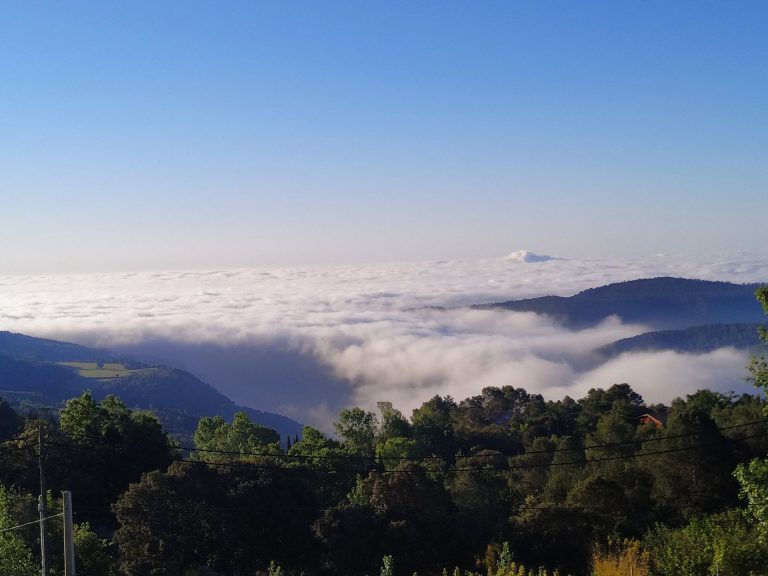 60919183 2288130241439872 1005189344182403072 o 768x576