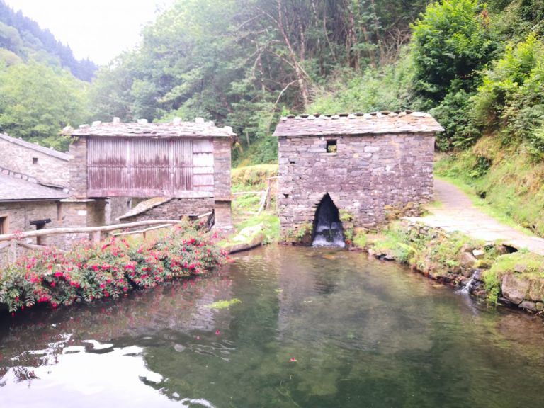 IMG 20200712 133548 768x576