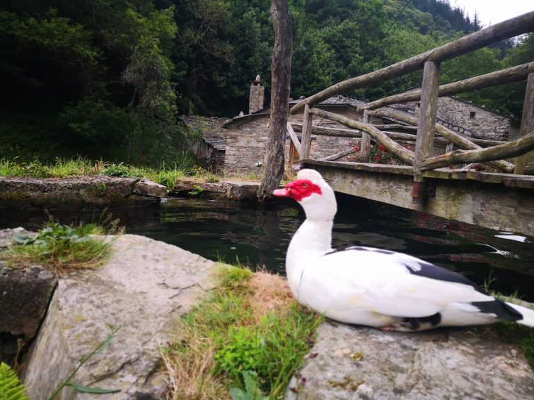 IMG 20200712 134612 768x576