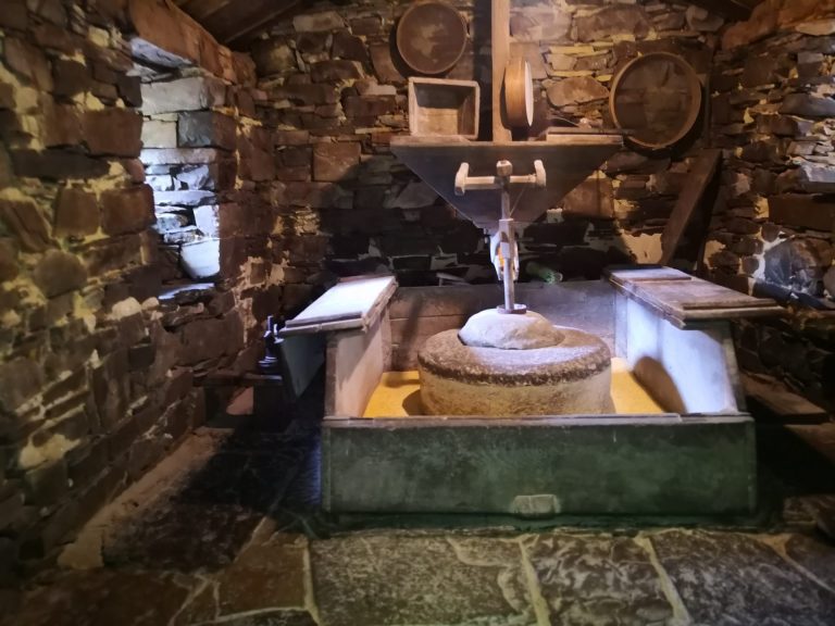 IMG 20200712 134727 768x576