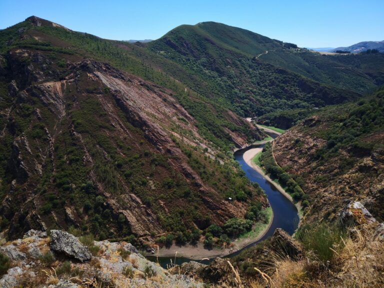 IMG 20200725 150913 768x576