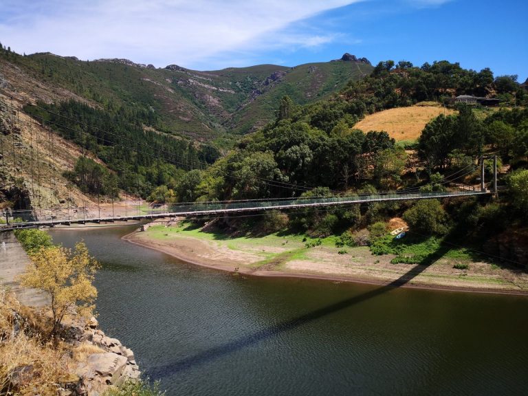 IMG 20200725 153221 768x576