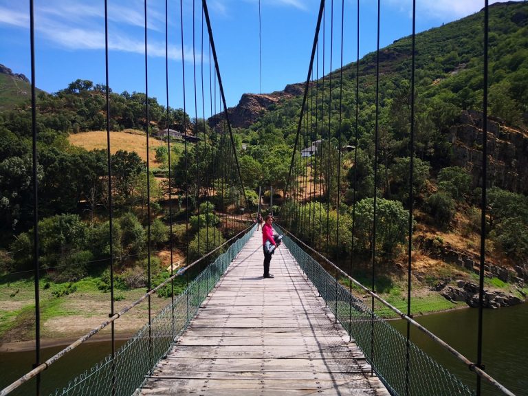 IMG 20200725 153414 768x576